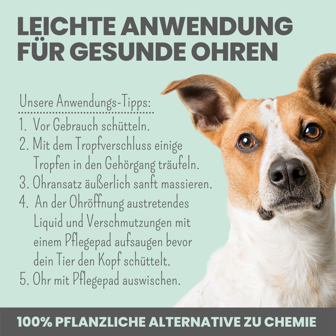 noms+ Ohrfein Anwendung