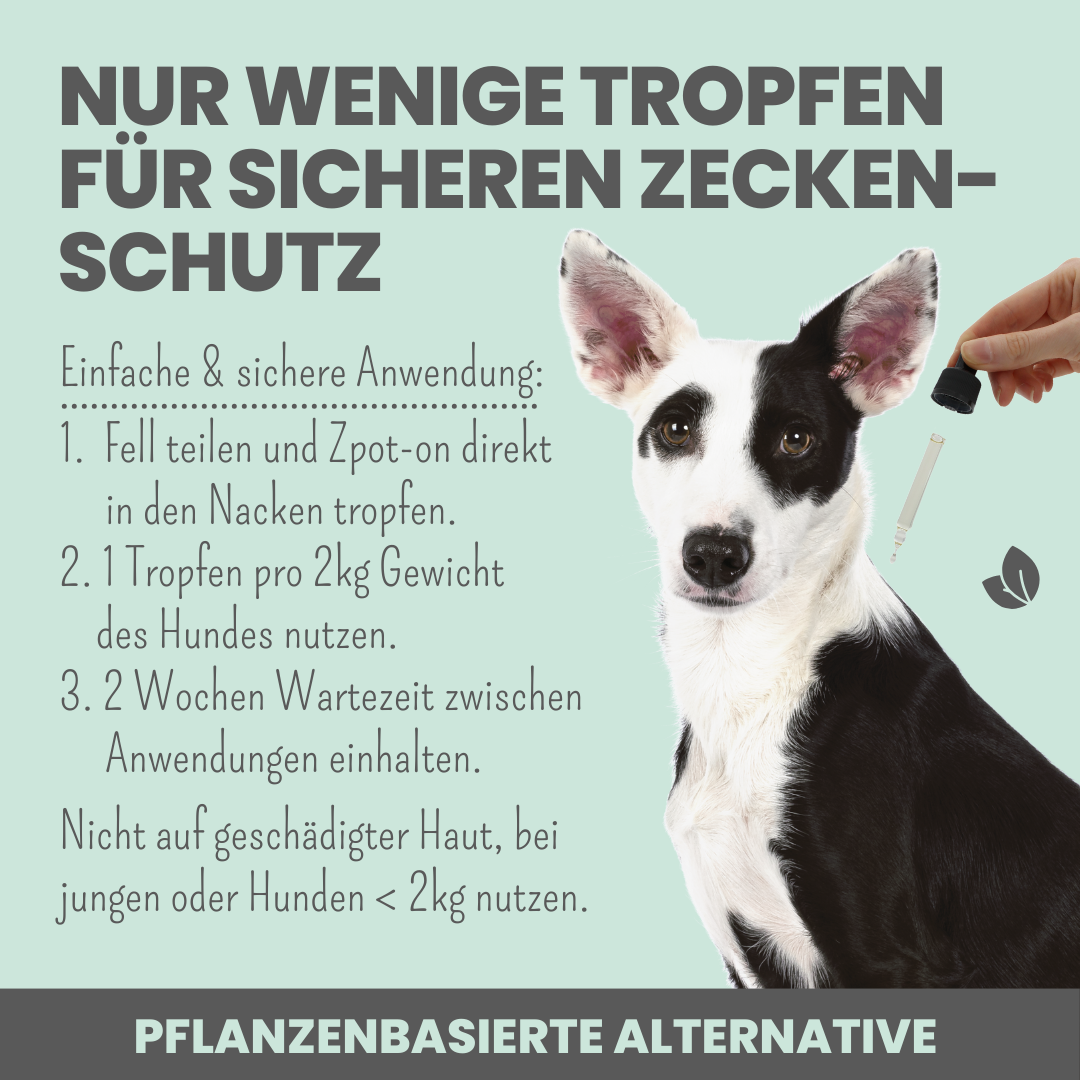 noms+ Zpot-on Anwendung